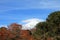 Snowcapped Lanin volcano, Patagonia, border of Argentina and Chile