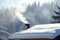 snowcovered chalet with smoke rising from chimney, pine trees backdrop