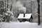 snowcovered cottage in the woods, smoke from chimney