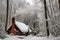 snowcovered cottage in the woods, smoke from chimney