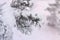 Snowcowered branches. Winter blur background. Frost trees.