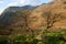 Snowdonia trees