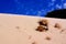 Snowdrift Sand Dune