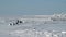 Snowdrift on Way to the Anadyr airport and an abandoned village.