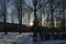 Snowdrifts among trees in a city park on a sunny evening in early spring. Winter park with bare trees and tree trunks