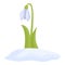 Snowdrop bloom icon cartoon vector. Snow flower
