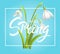 Snowdrop Flower Background and hello Spring Lettering. Vector Illustration EPS10