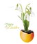 Snowdrop Flowers Easter Greeting