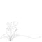 Snowdrop flowers line drawing on white background