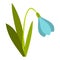 Snowdrop icon, flat style