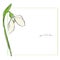 Snowdrop minimal card