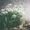 Snowdrops blooming, outdoor. Springtime flowers . Spring nature