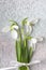 Snowdrops bouquet on shiny silver background