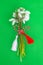 Snowdrops bouquet with spring cord