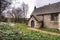 Snowdrops in a churchyard