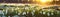 Snowdrops Field On Blurred Sunrise Background. Banner For Web. Generative AI