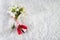 Snowdrops flowers with a red and white martenitsa on a snow background. Martisor and Baba Marta.