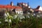 Snowdrops Under Old Castle, Slovenia