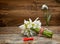 Snowdrops on wooden background