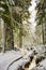 Snowed in fir trees steam landscape Brocken mountain Harz Germany