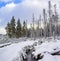 Snowed in fir trees steam landscape Brocken mountain Harz Germany