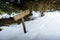 Snowed footpath to La Roche d Ajoux in Beaujolais