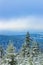 Snowed in icy fir trees landscape Brocken mountain Harz Germany