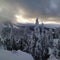 Snowed landscape