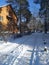 The snowed road with pine trees behind it and the building in the town in the winter