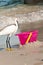 Snowey egret, getting ready to robbing bait, from pink bucket on tropical seashore