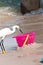 Snowey egret getting ready to steal bait fish out of a pink, plastic pale