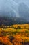 Snowfall Above Fall Aspen