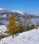 Snowfall in the Aizkorri-Aratz Natural Park and in the town of Zegama, Basque Country