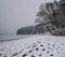 Snowfall on the Beach