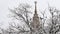 Snowfall in campus of famous Russian university with snowed naked tree branches in winter