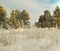 snowfall covered grass and trees winter landscape forest edges