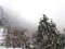 Snowfall in Mushkpuri, KPK, Abbotabad