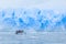 Snowfall over boat with tourists in the bay full of icebergs wit