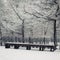 Snowfall. In the park. Covered in snow benches.