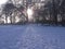 Snowfall in rural woodland and meadow