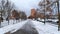 After the snowfall, snow lies on the asphalt sidewalk, lawns and cars parked on the roadway of a city street. Concrete and brick b