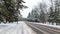 After a snowfall, snow lies on city streets and on tree branches. The roadway and sidewalks have been cleared by public utilities.