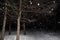 Snowfall, snowflakes at night winter forest. Flash photo