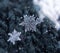 Snowflake beautiful on the grey winter background