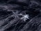 Snowflake beautiful on the grey winter background