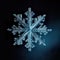 snowflake close-up offers an intimate view of nature\\\'s exquisite artistry. The delicate ice crystal