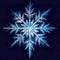 snowflake close-up offers an intimate view of nature\\\'s exquisite artistry. The delicate ice crystal