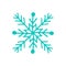 Snowflake Closeup of Icon on Vector Illustration
