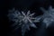 Snowflake closeup, winter. Merry Christmas, AI generative. Winter