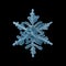 Snowflake crystal